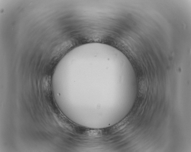 X0000088830126200706281805