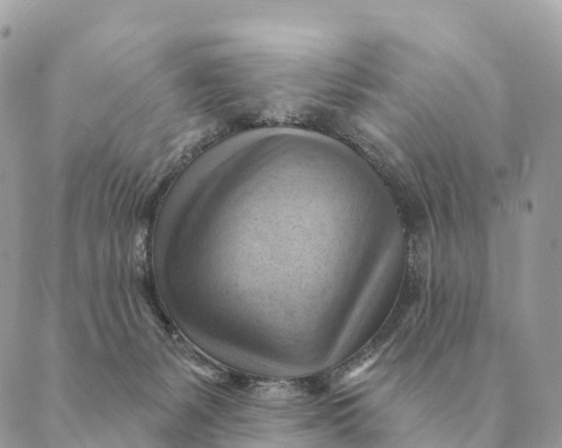 X0000088830127200706281805