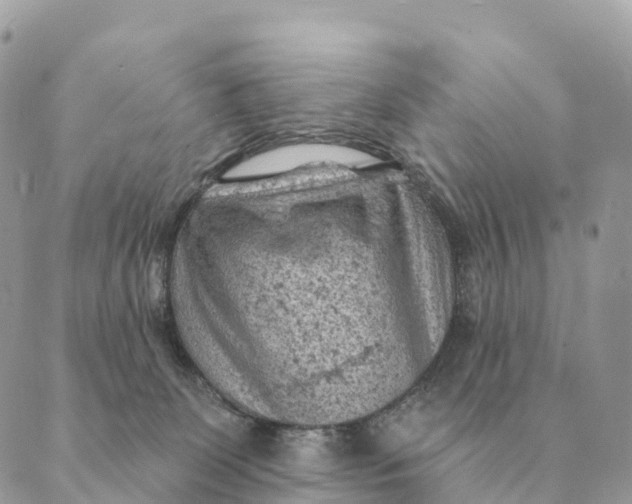 X0000088830131200706281805