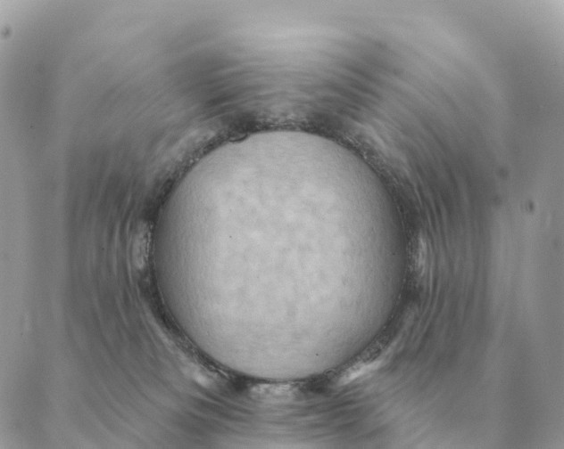 X0000088830133200706281805