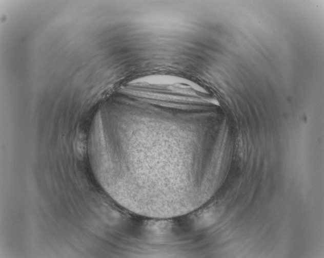 X0000088830135200706281805