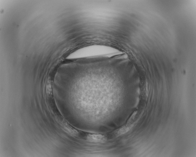 X0000088830137200706281805