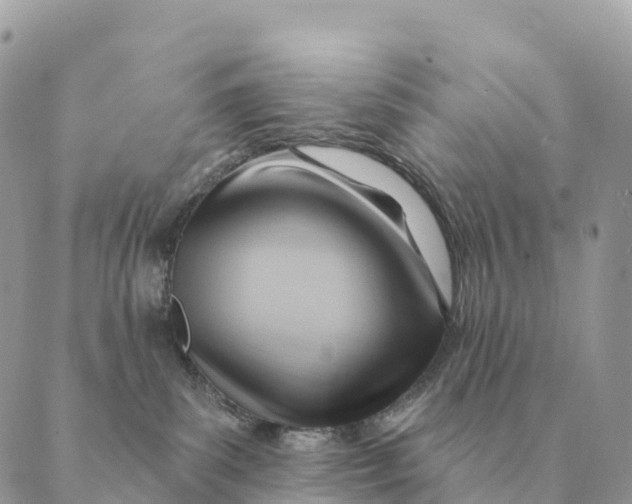 X0000088830139200706281805