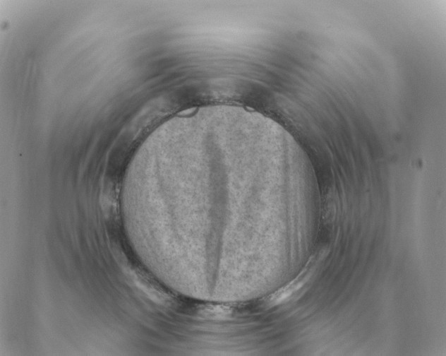 X0000088830140200706281805