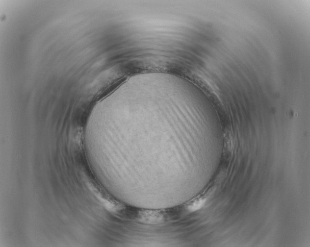 X0000088830141200706281805