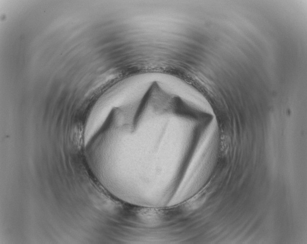 X0000088830142200706281805