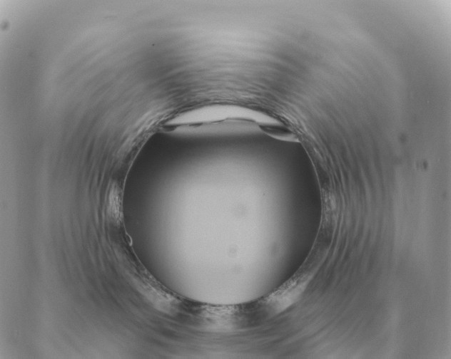 X0000088830143200706281805