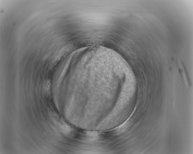 X0000088830144200706281805