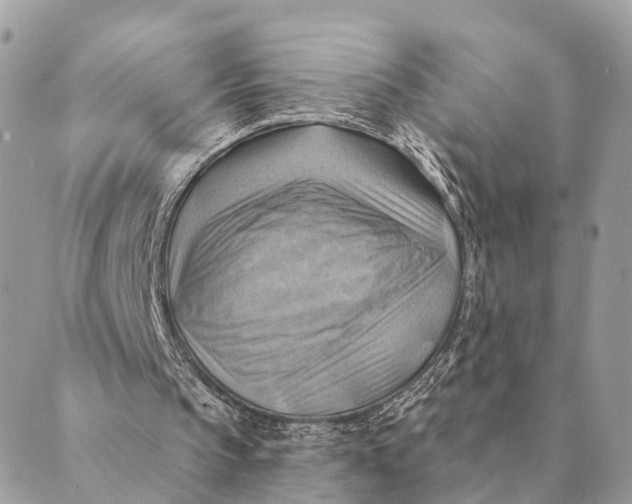 X0000088830145200706281804