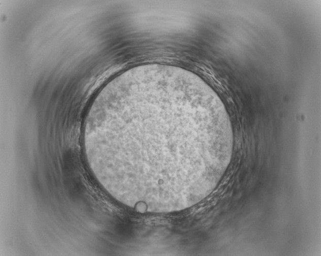 X0000088830146200706281804