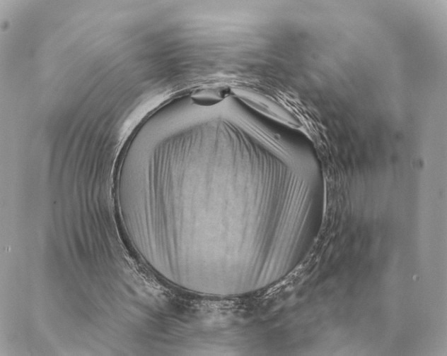 X0000088830147200706281804