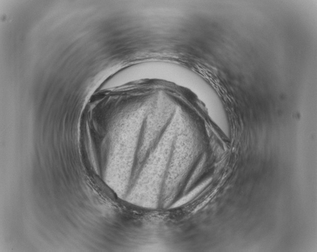 X0000088830148200706281804