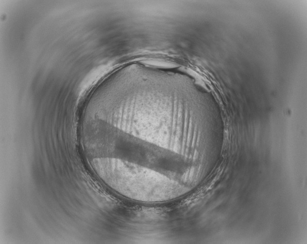 X0000088830149200706281804