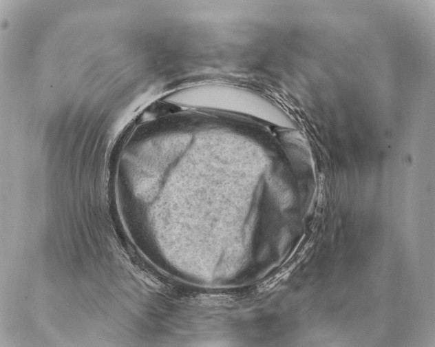 X0000088830150200706281804