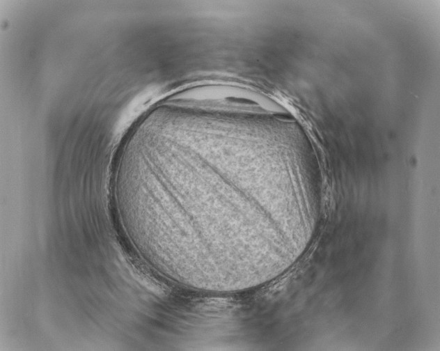 X0000088830151200706281804