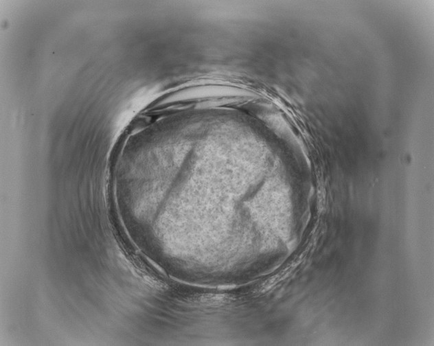 X0000088830152200706281804