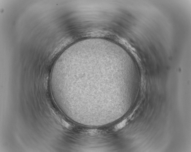 X0000088830153200706281804