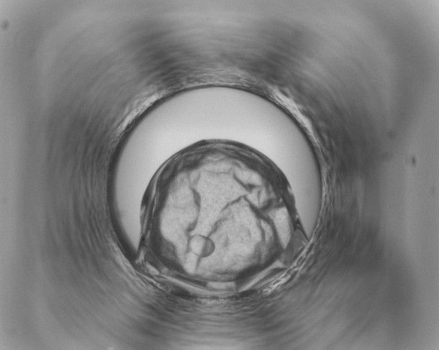 X0000088830154200706281804