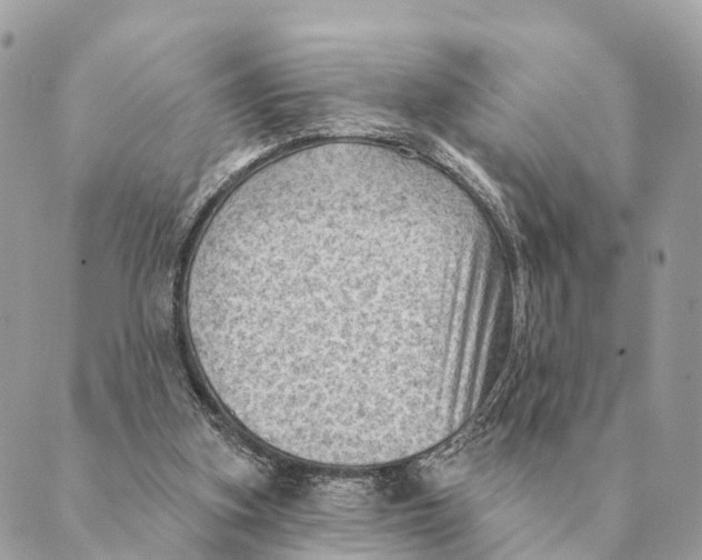 X0000088830155200706281804