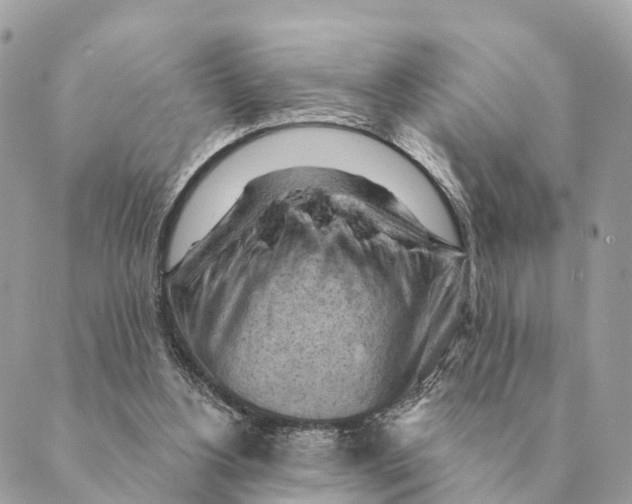 X0000088830156200706281804