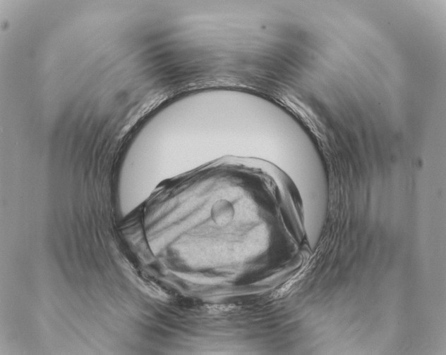 X0000088830158200706281804