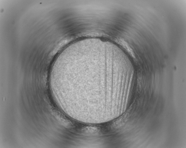 X0000088830159200706281805