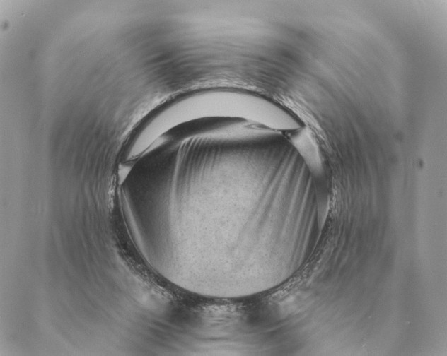 X0000088830160200706281805