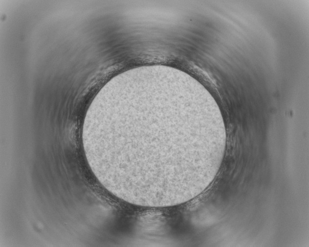 X0000088830162200706281805