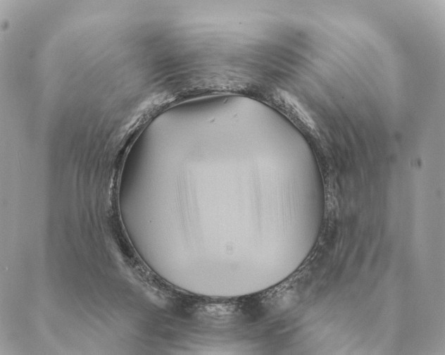 X0000088830163200706281805