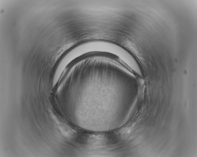 X0000088830164200706281805