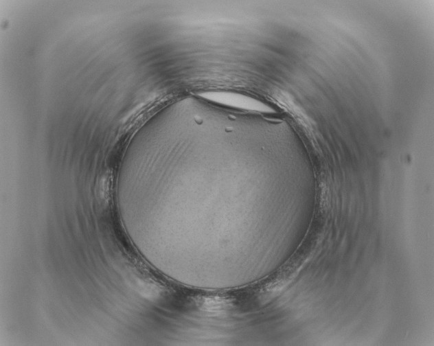 X0000088830165200706281805