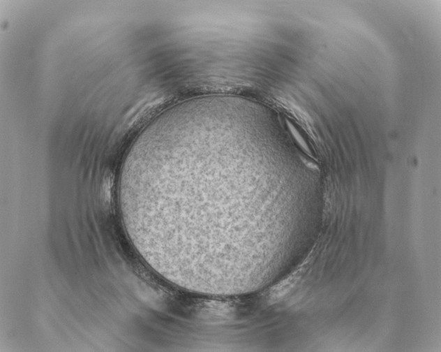 X0000088830166200706281805