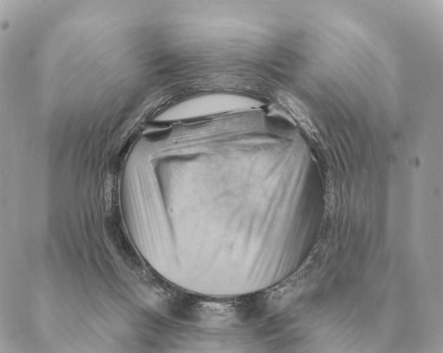 X0000088830167200706281805