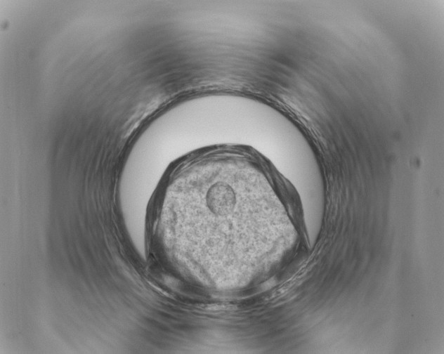 X0000088830168200706281805