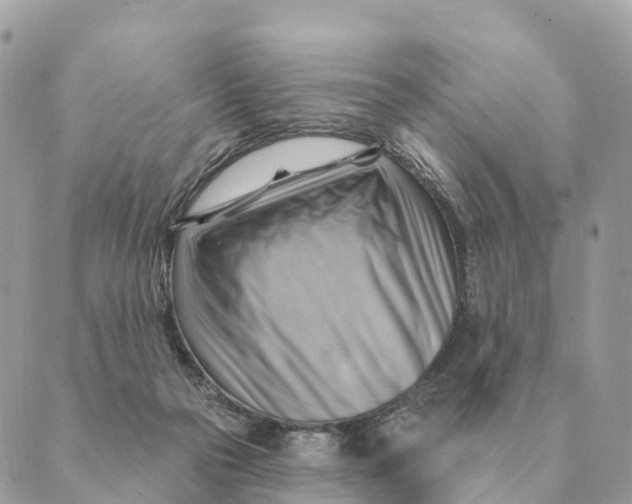 X0000088830169200706281805