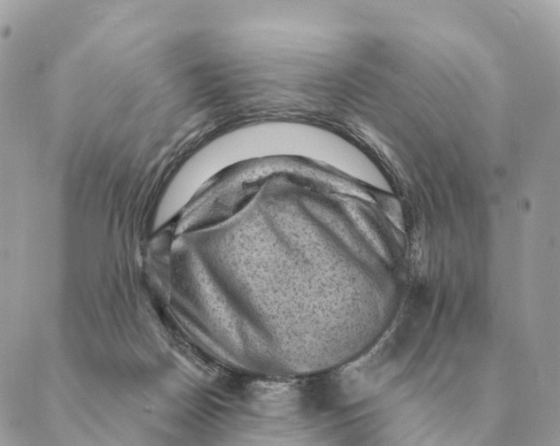 X0000088830170200706281805