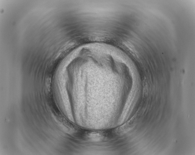 X0000088830171200706281805