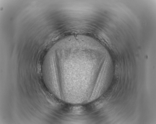 X0000088830173200706281805