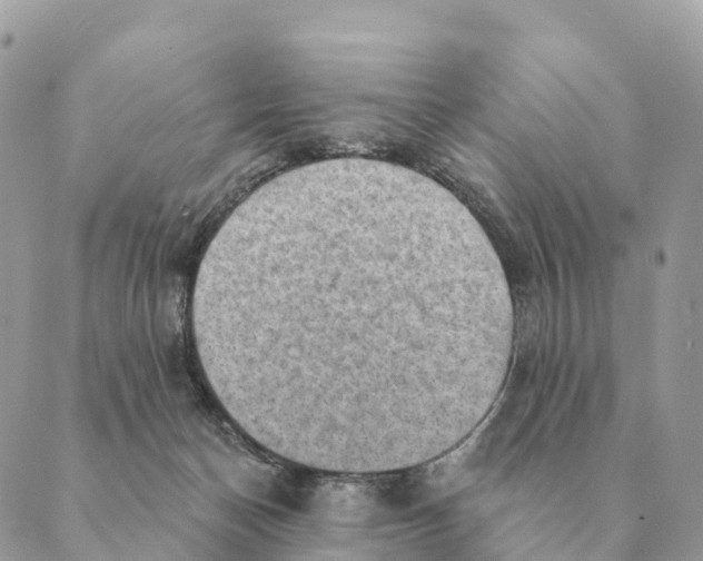 X0000088830174200706281805