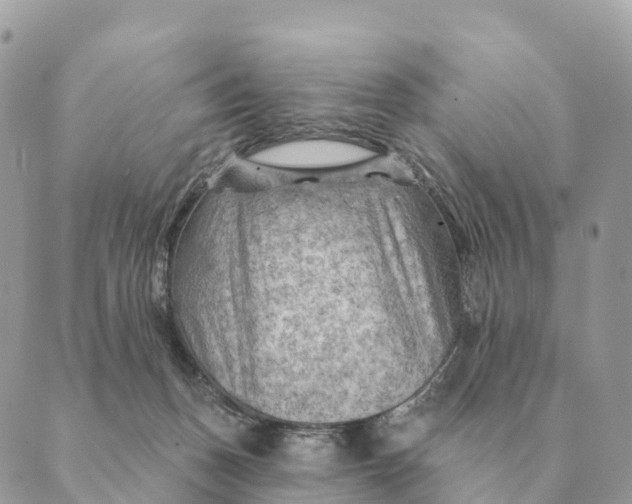 X0000088830175200706281805