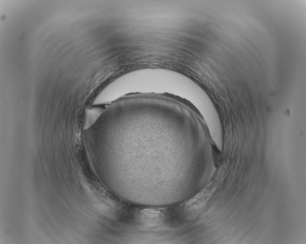 X0000088830176200706281805