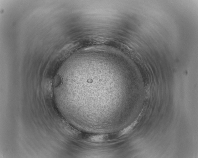 X0000088830178200706281805