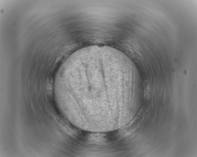 X0000088830179200706281805