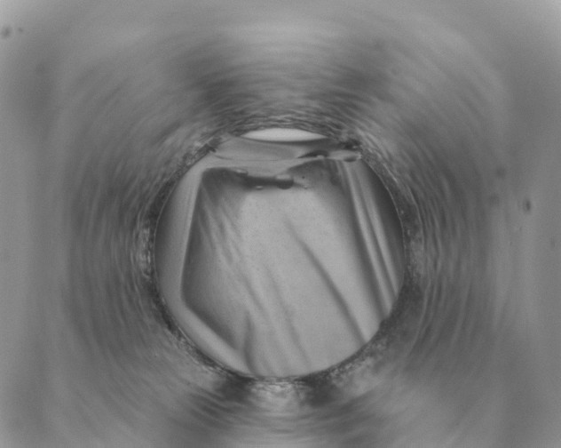 X0000088830181200706281805