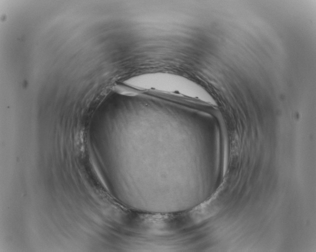 X0000088830182200706281805