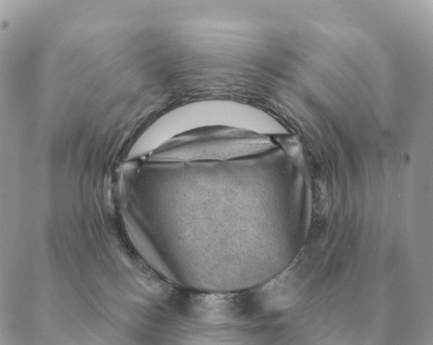 X0000088830184200706281805