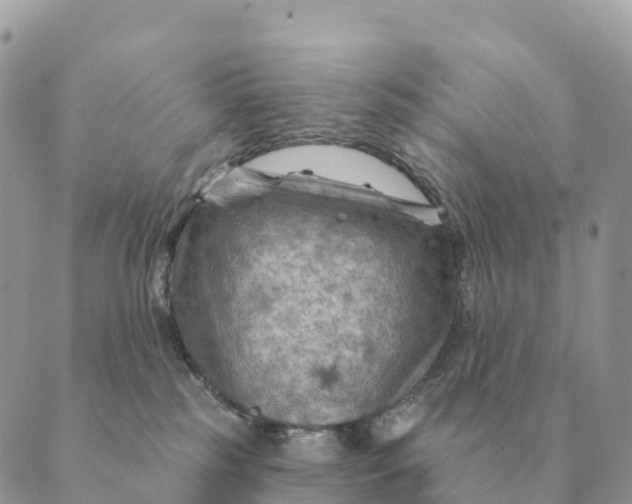 X0000088830185200706281805