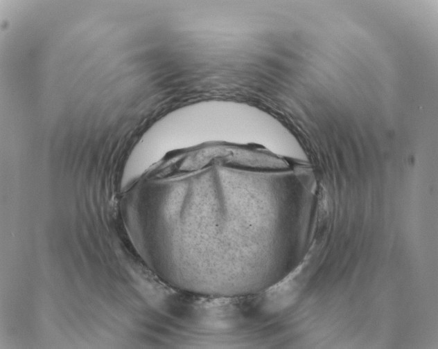 X0000088830186200706281805