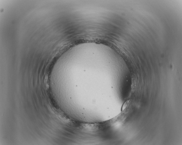 X0000088830187200706281805