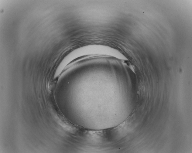 X0000088830188200706281805